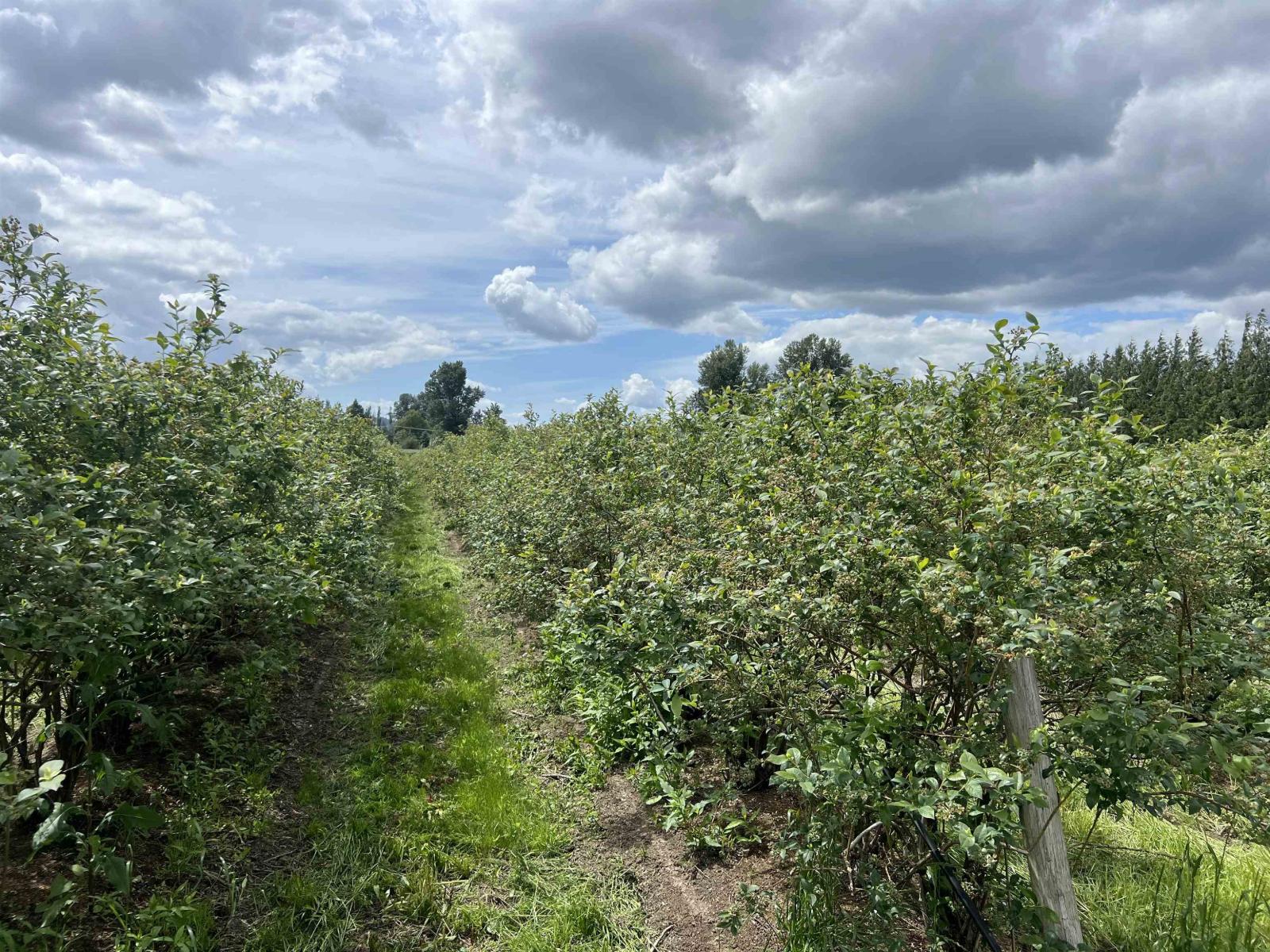 9445 Catherwood Rd, Mission, BC V0M 1H0