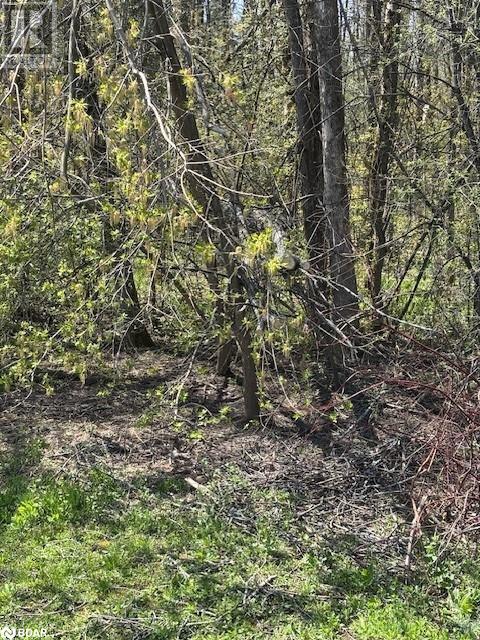 145 Courtland St, Ramara, ON L3V 6H7