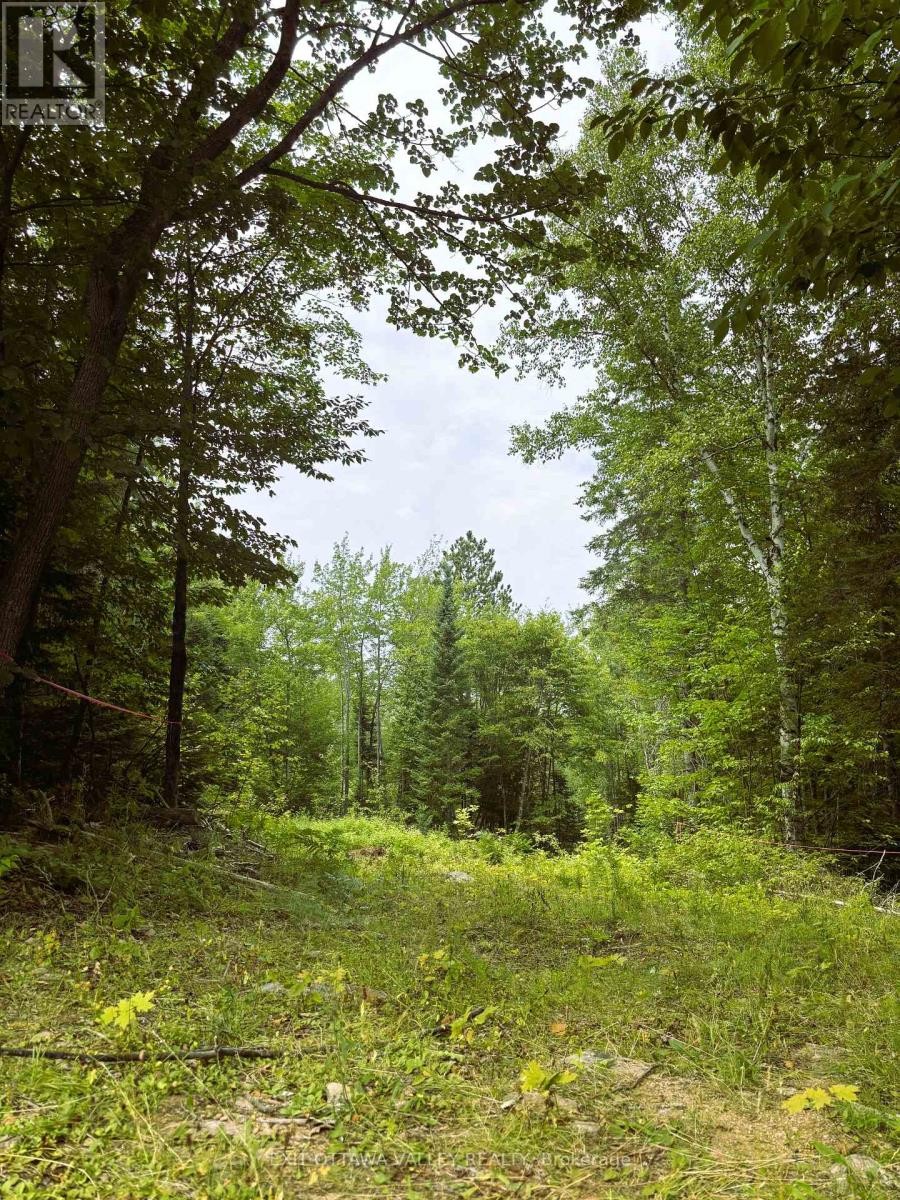 00 Siberia Rd, Madawaska Valley, ON K0J 1B0