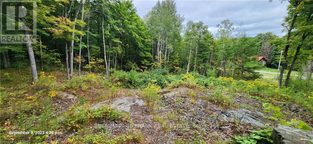169 Northern Ave, Trent Lakes, ON K0M 1A0