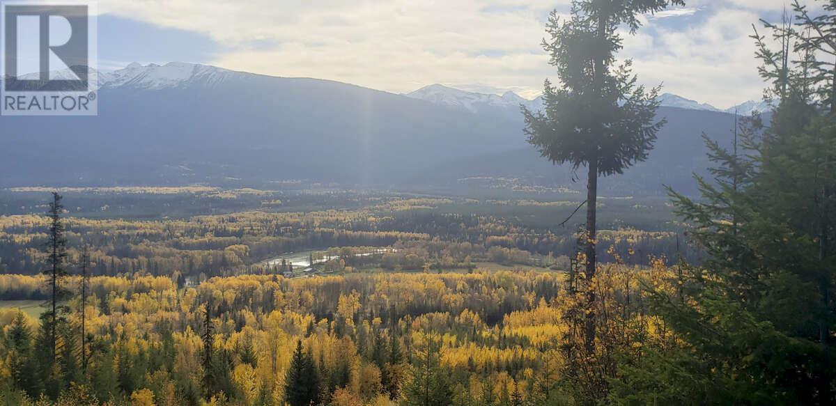 Dl 6034 E 16 Highway, Valemount, BC V0E 2Z0