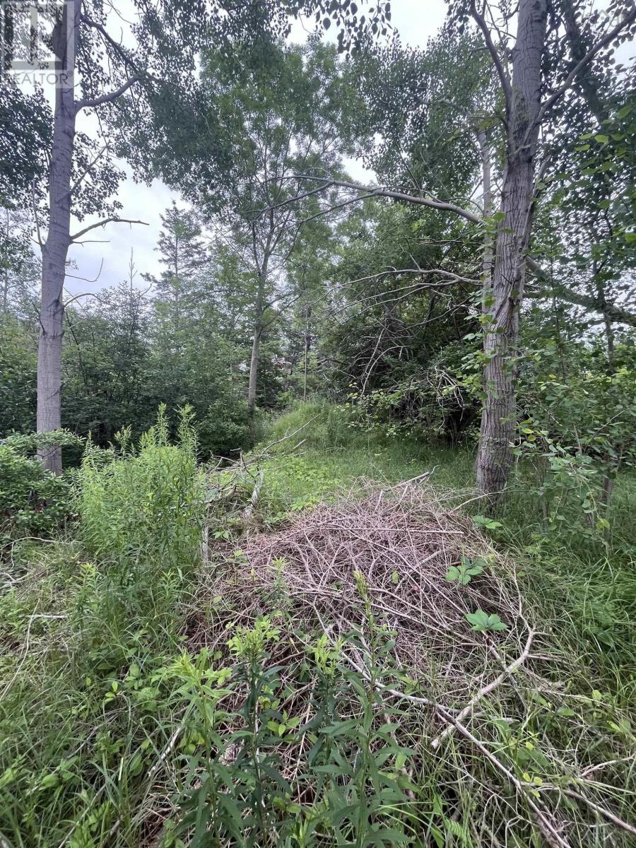 Annapolis Royal, NS homes for sale & real estate listings Houseful