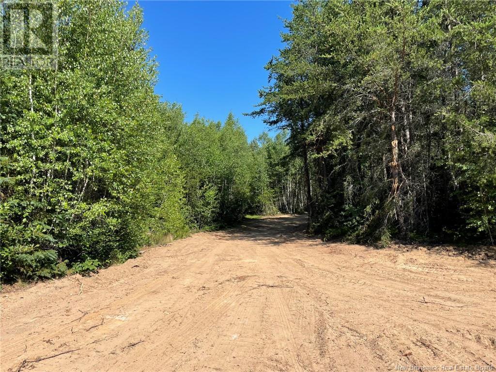 Lot Richard Hill Road, Shediac Bridge, NB E4R 3M5