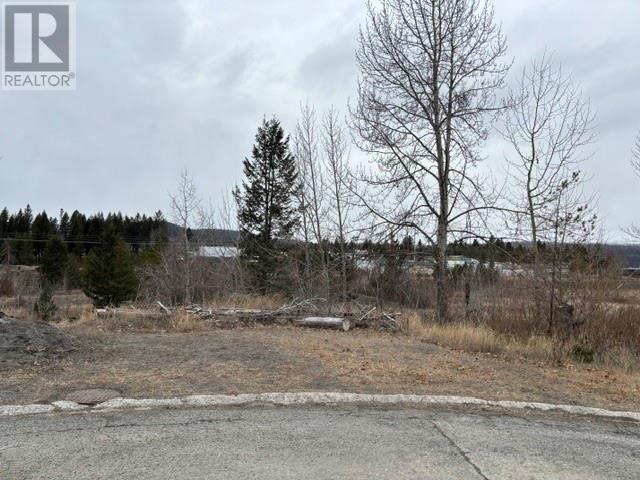133 Birch Cres, Logan Lake, BC V0K 1W0