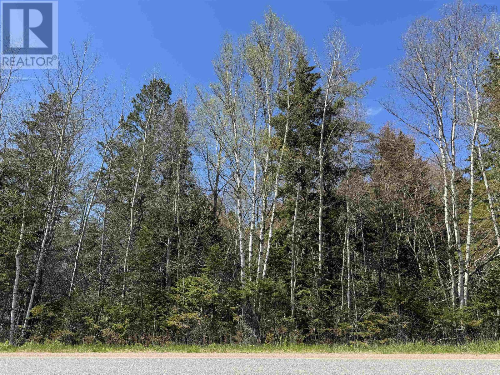 Lot 4 Highway 509, Lower Maccan, NS B0L 1B0
