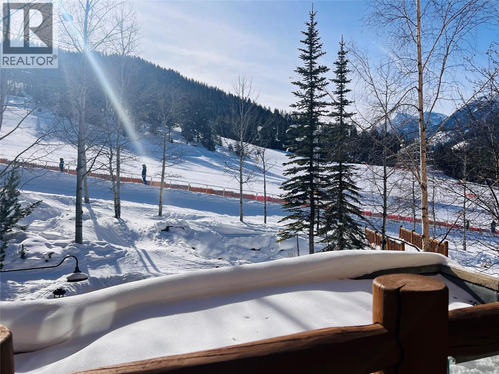 2090 Summit Drive Unit 203, Panorama, BC V0A 1T0