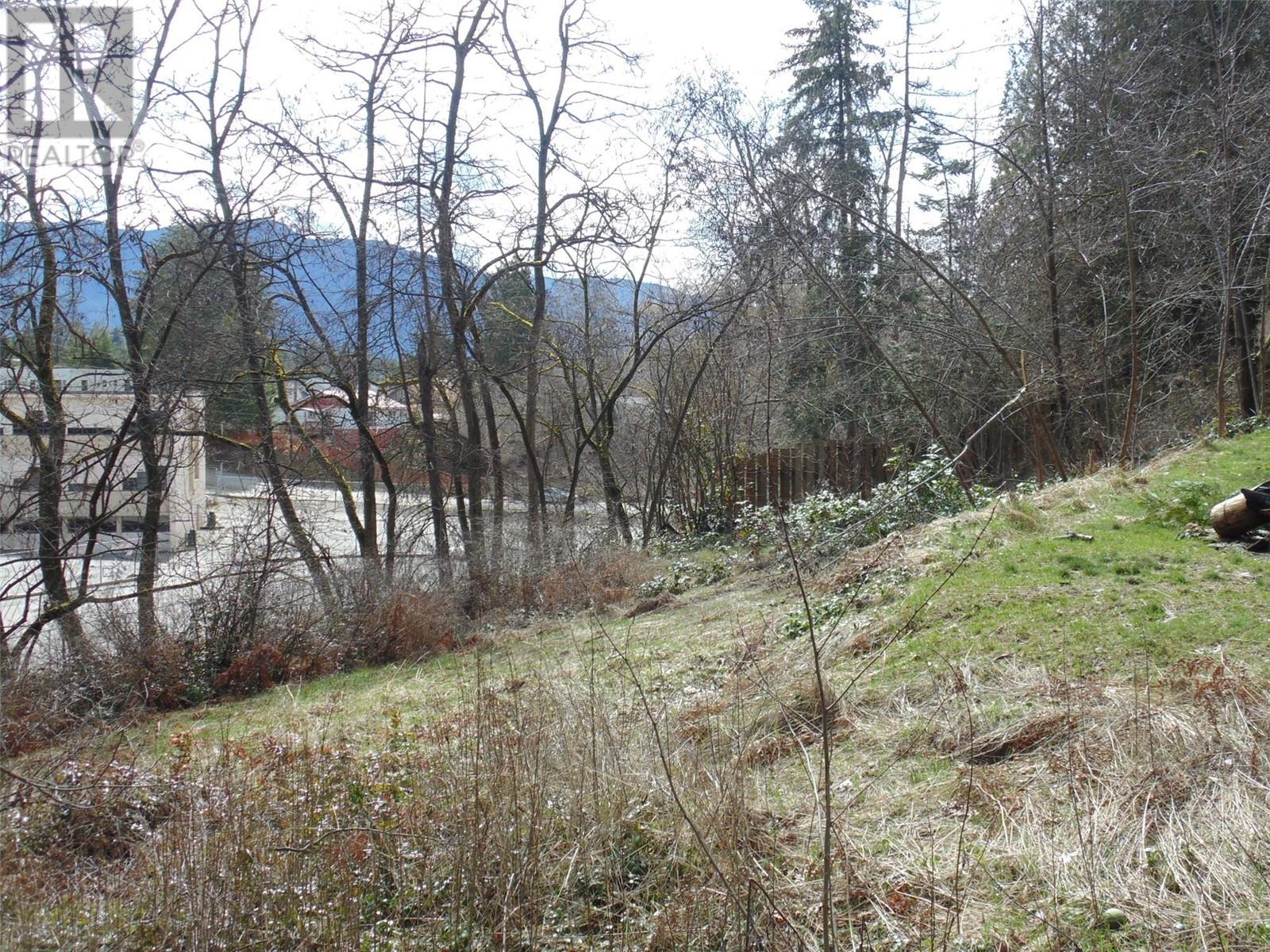 Lot B 9th Avenue, Castlegar, BC V1N 1M4