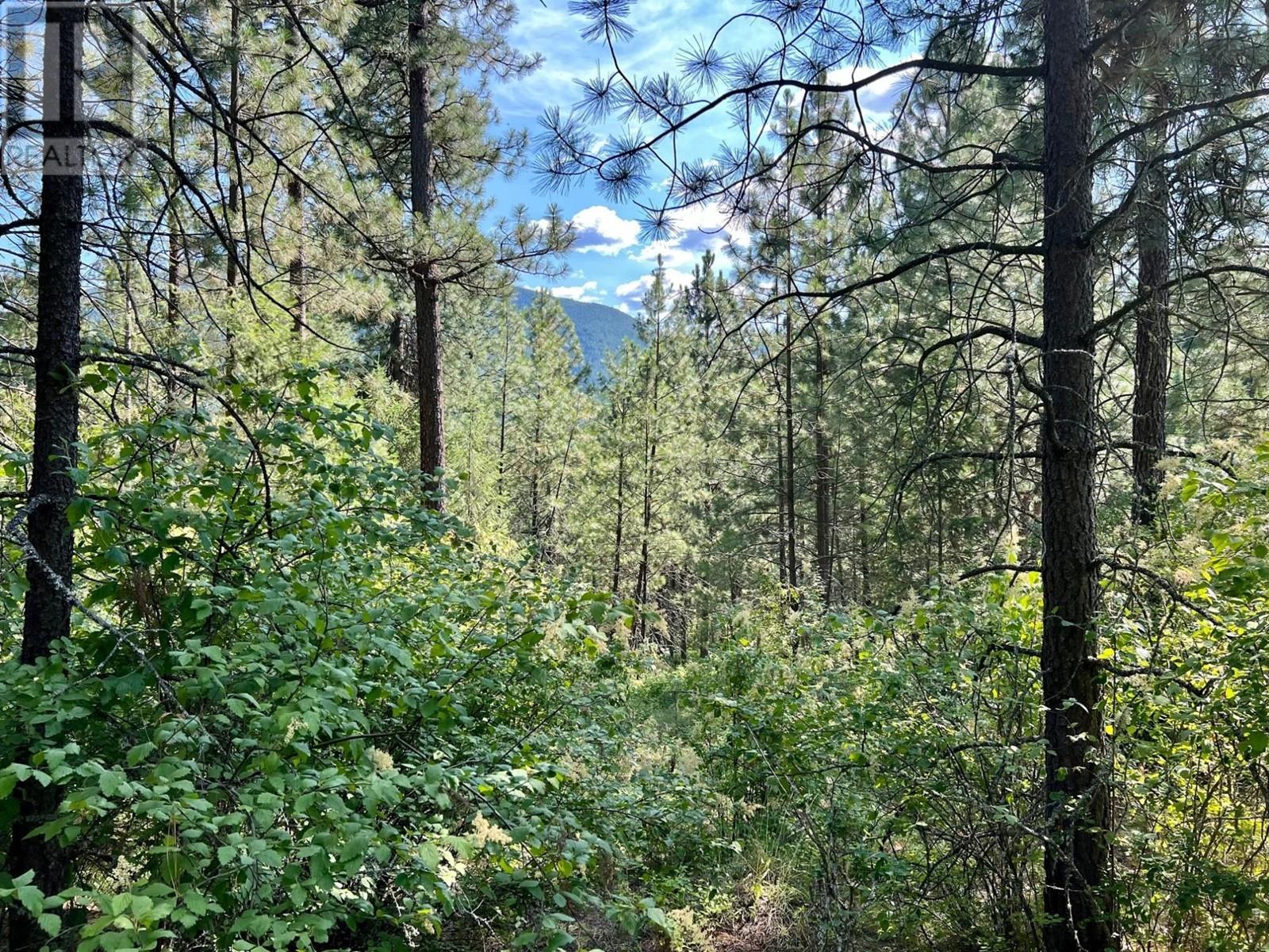 Evans Road, Creston, BC V0B 1G7