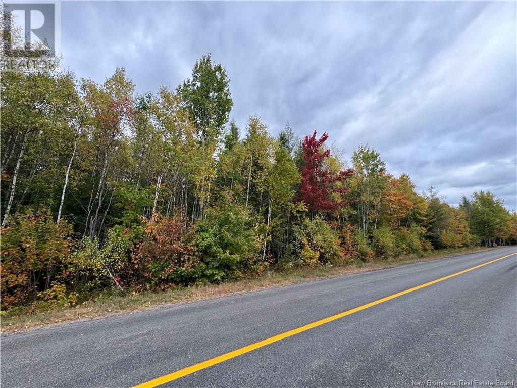 Blueberry Lane, Codys, NB E4C 1E3