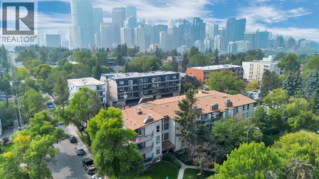 239 6 Avenue Ne Unit 206, Calgary, AB T2E 0L8