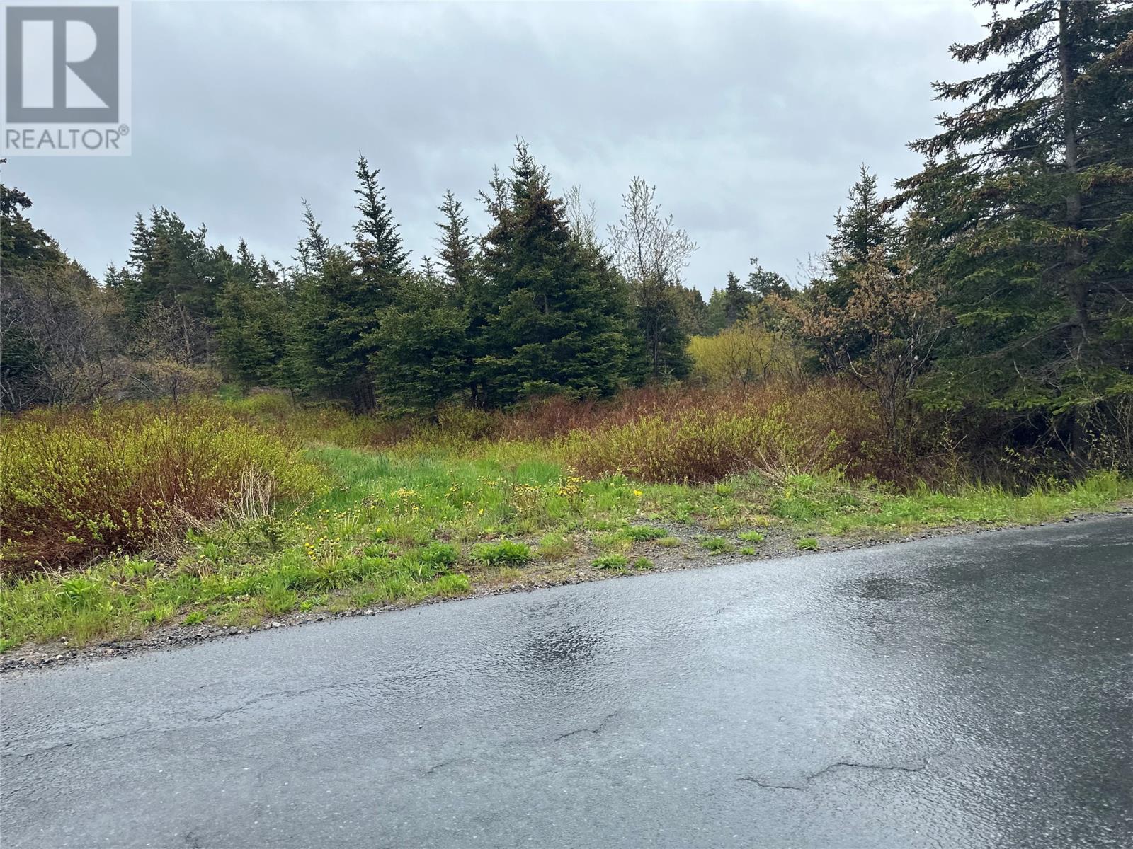 28-34 Conrans Rd, Chapel's Cove, NL