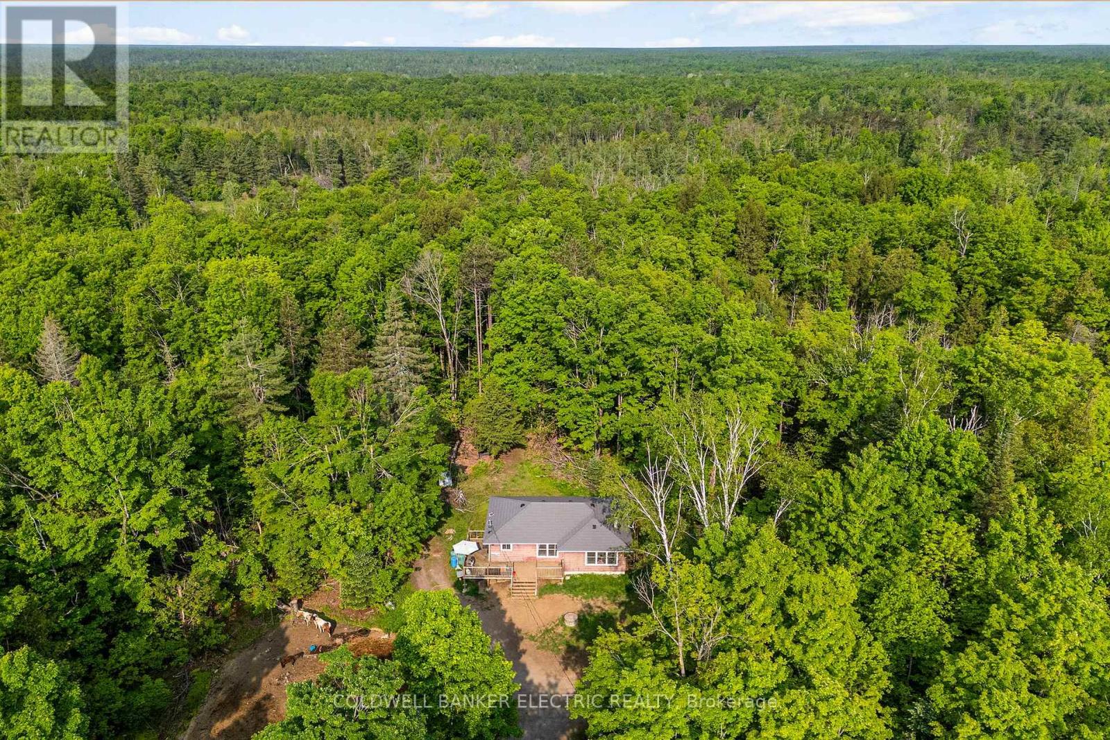 8248 County Road 46 Rd, Havelock-belmont-methuen, ON K0L 1A0