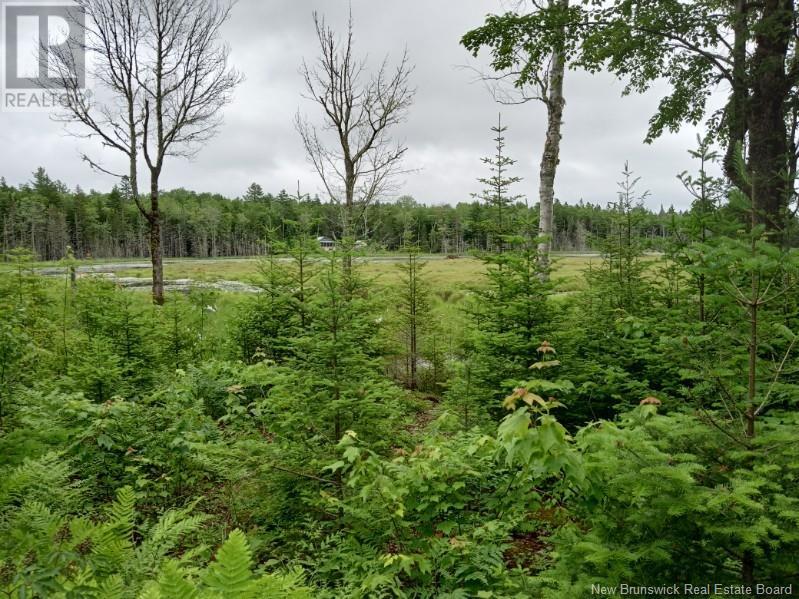 Lot 10 Richibuto Road, Noonan, NB E4A 7H4