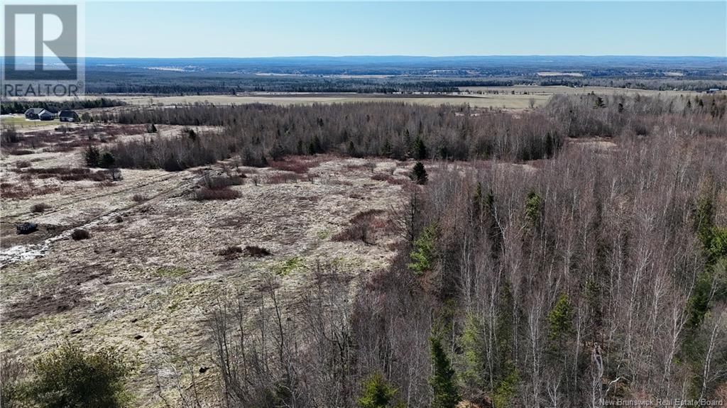 Lot Homestead Road, Steeves Mountain, NB E1G 4J8