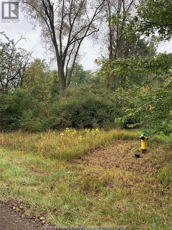 1058 V/l Brush Sideroad, Essex, ON N8M 2X6