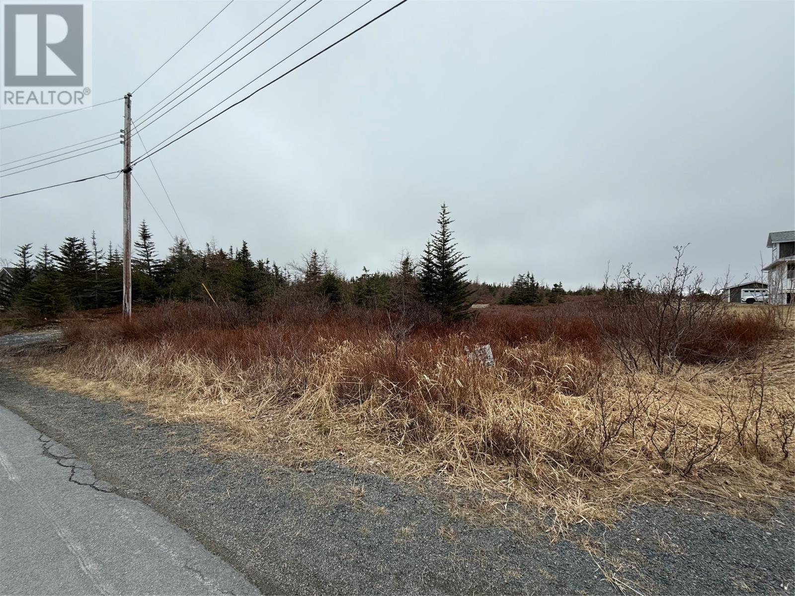 163 Ridge Rd, Spaniard's Bay, NL A0A 3X0