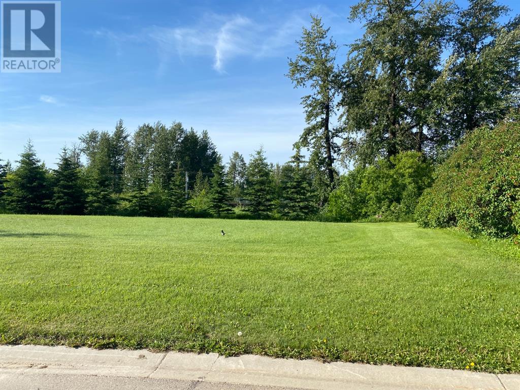 3 Street Ne Unit 201 NE #a, Slave Lake, AB T0G 2A2
