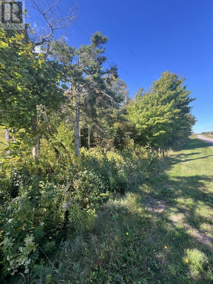 1479 N Royalty Rd, Cardigan, PE C0A 1G0