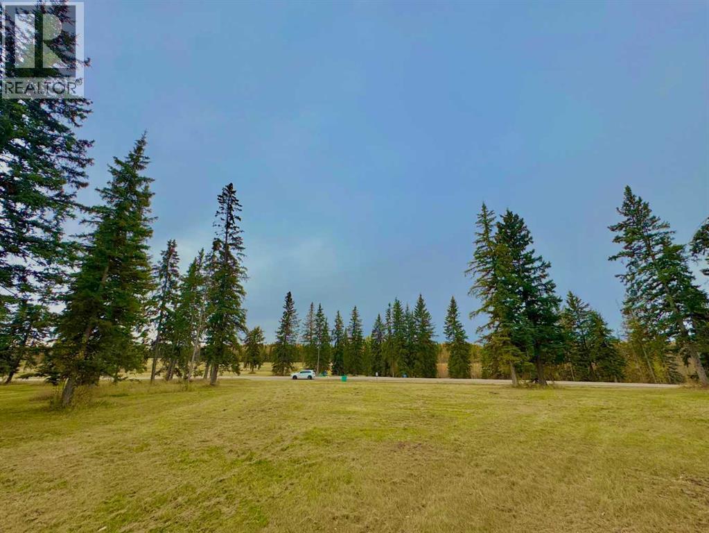 308 Valley View Dr, Rural Clearwater County, AB T4T 1A7