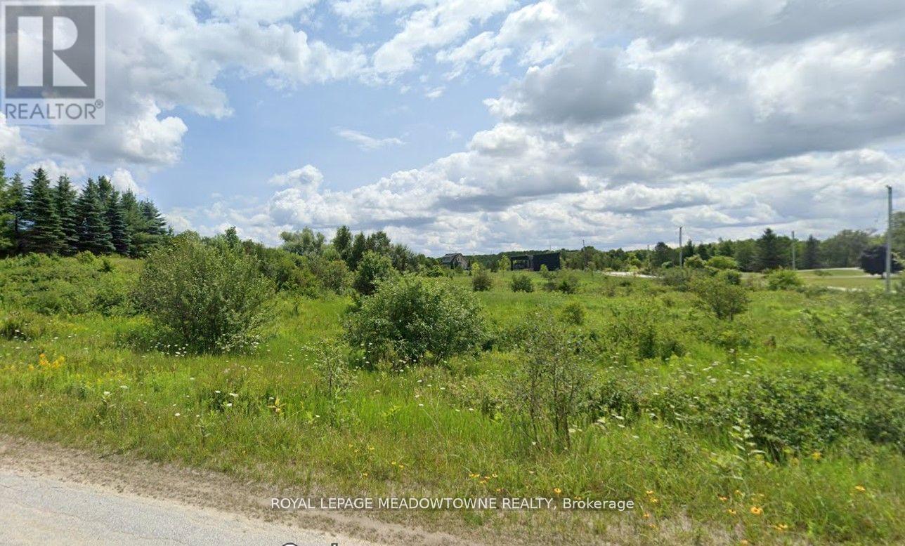 67 Brewster Lake Road, Grey Highlands, ON N0C 1M0