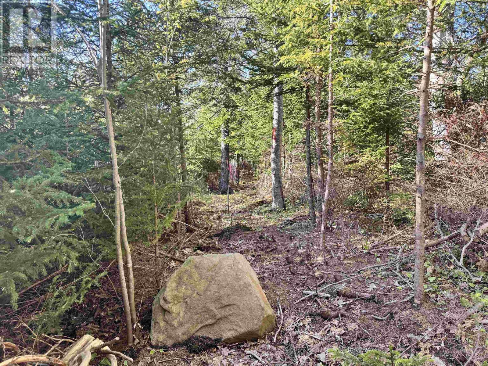 24 Forest Drive Ext #-2, Pictou, NS B0K 1H0
