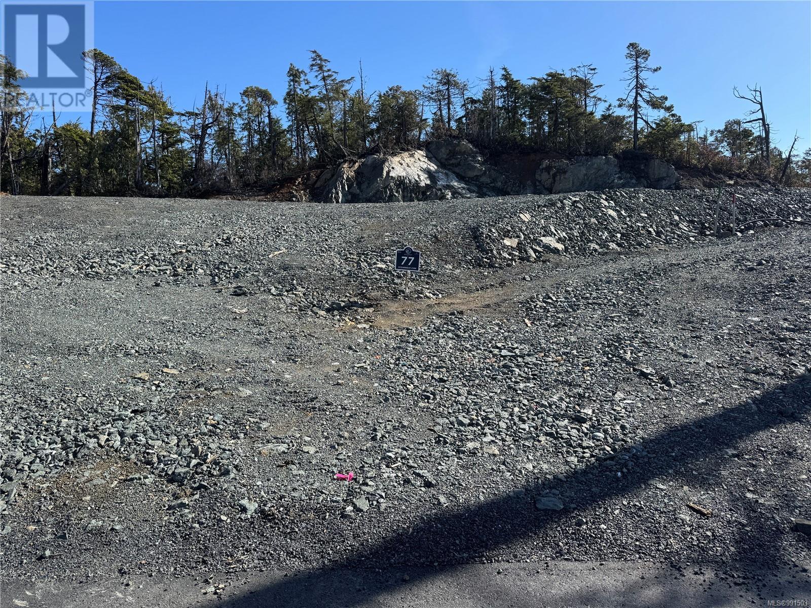 436 Forbes Rd, Ucluelet, BC V0R 3A0