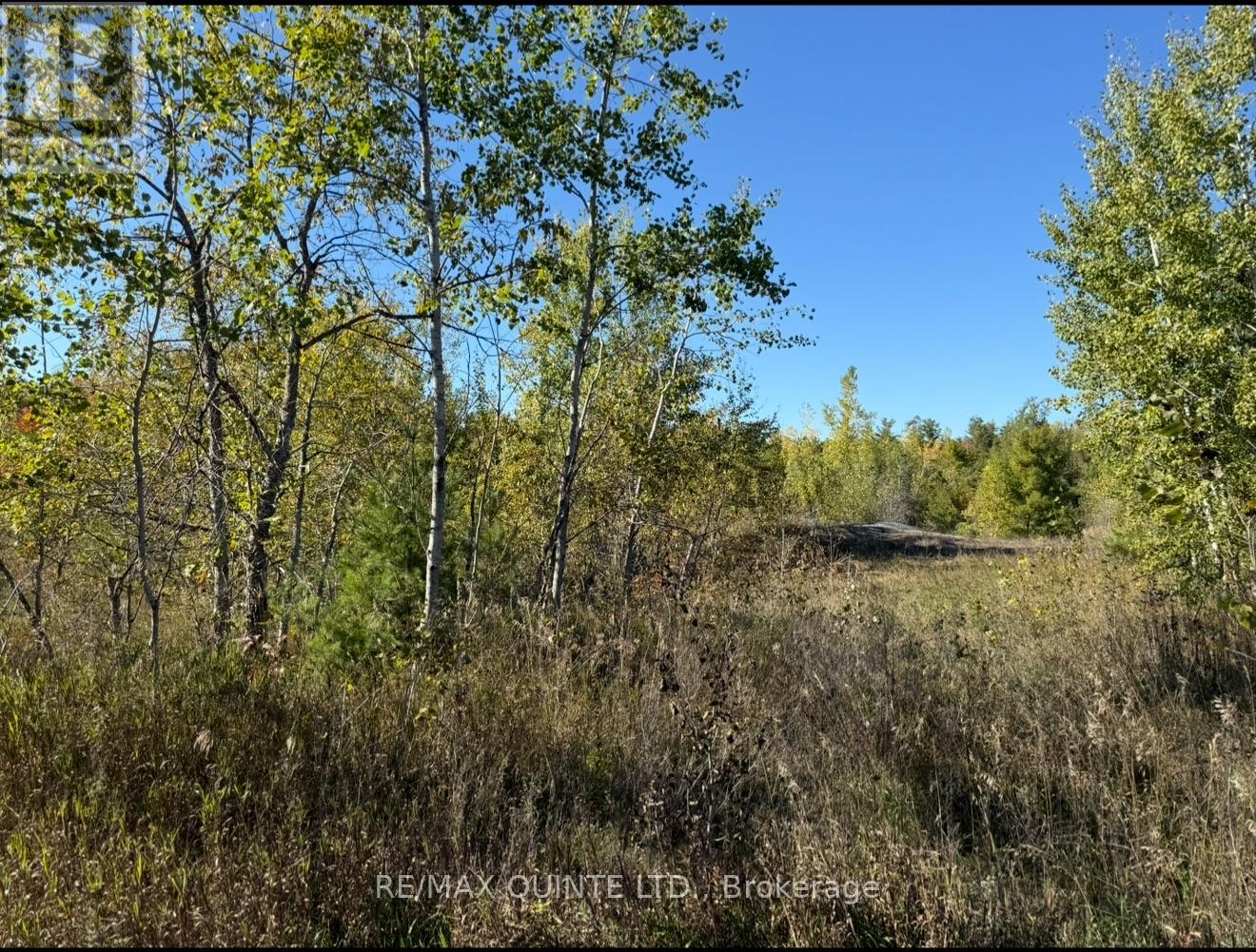 0 Price Rd, Tweed Elzevir Twp, ON K0K 3J0