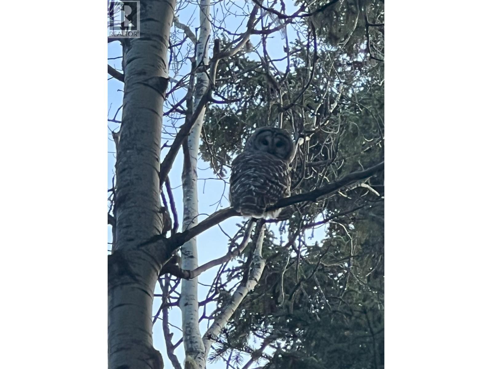 5 Clearview Dr, Burns Lake, BC V0J 1E0