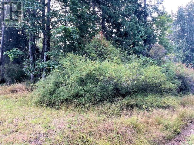 4 Dogwood Street, Texada Island, BC