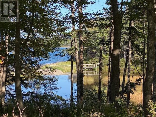 Lot 4 Macleods Pond Road, Roberta, NS B0E 3B0
