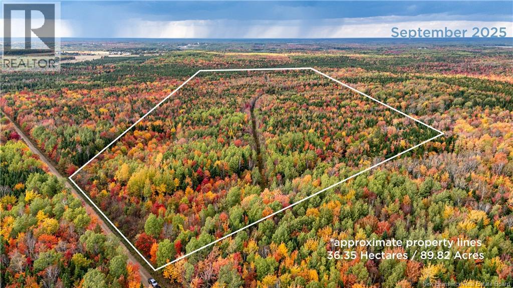 90 Acres Cormier Village Rd, Saint-paul, NB E4T 3H3