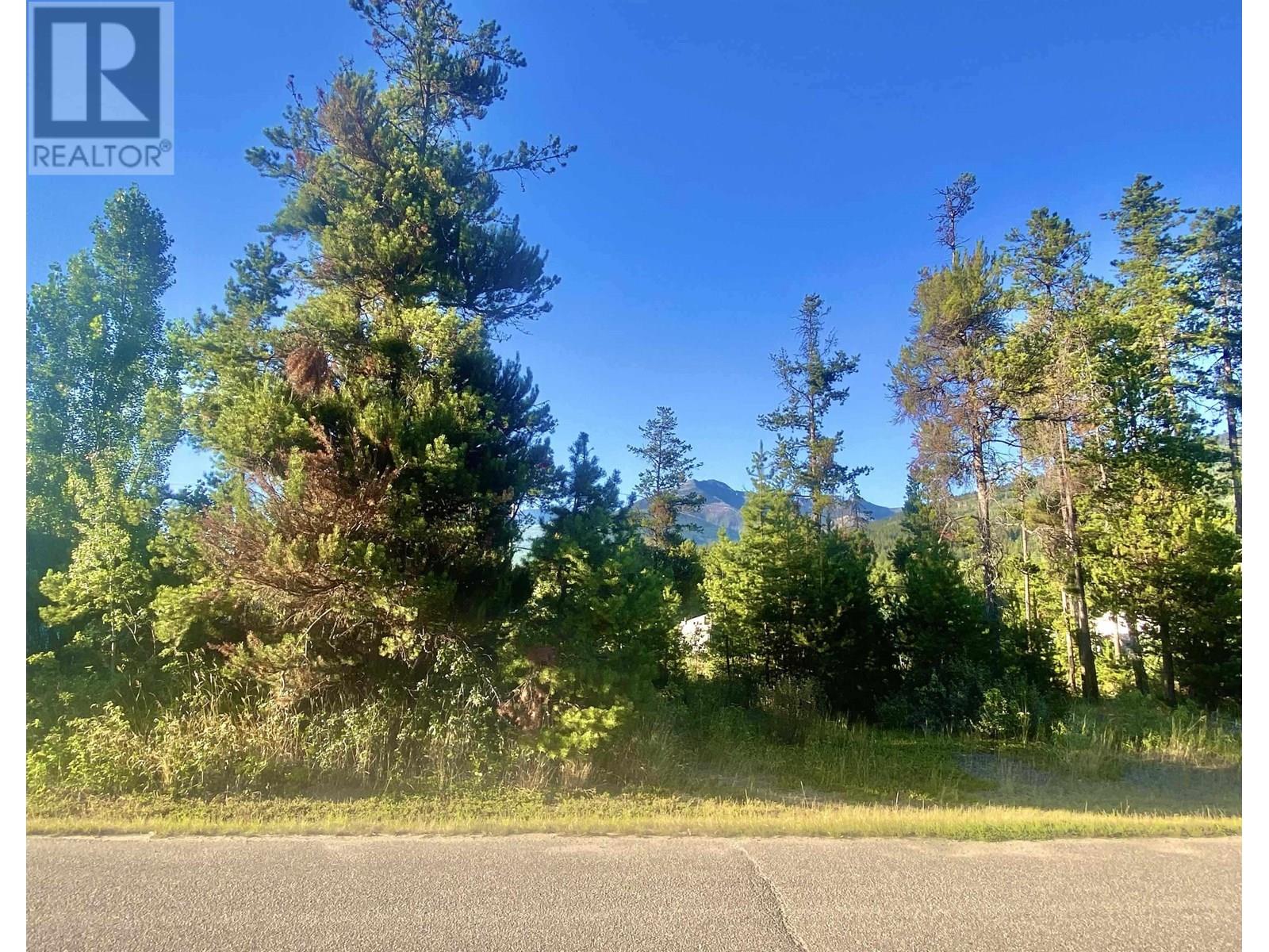 1060 6 Avenue, Valemount, BC V0E 2Z0