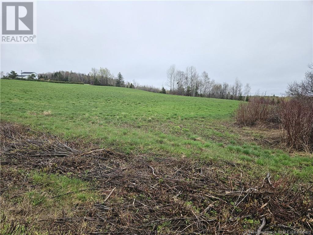 Vacant Lot Mckenna Road, Newburg, NB E7N 1V5