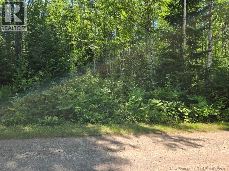 1 Morton Ln, Cumberland Bay, NB E4A 3J3