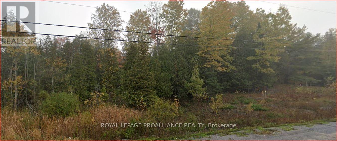 18362 Highway 62, Tudor and Cashel, ON K0K 1Y0