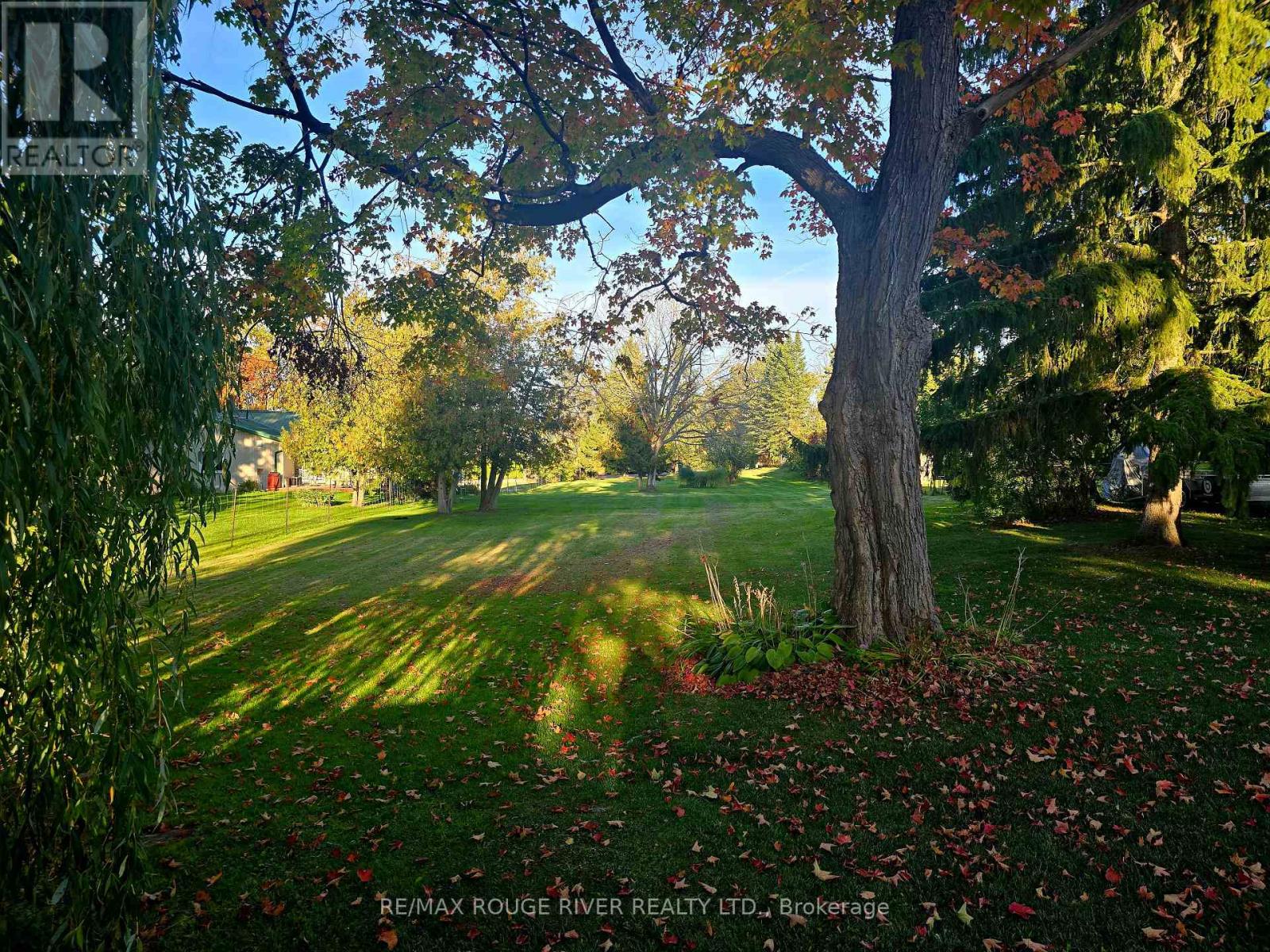 0 Butternut Dr, Kawartha Lakes Fenelon, ON K9V 4R1