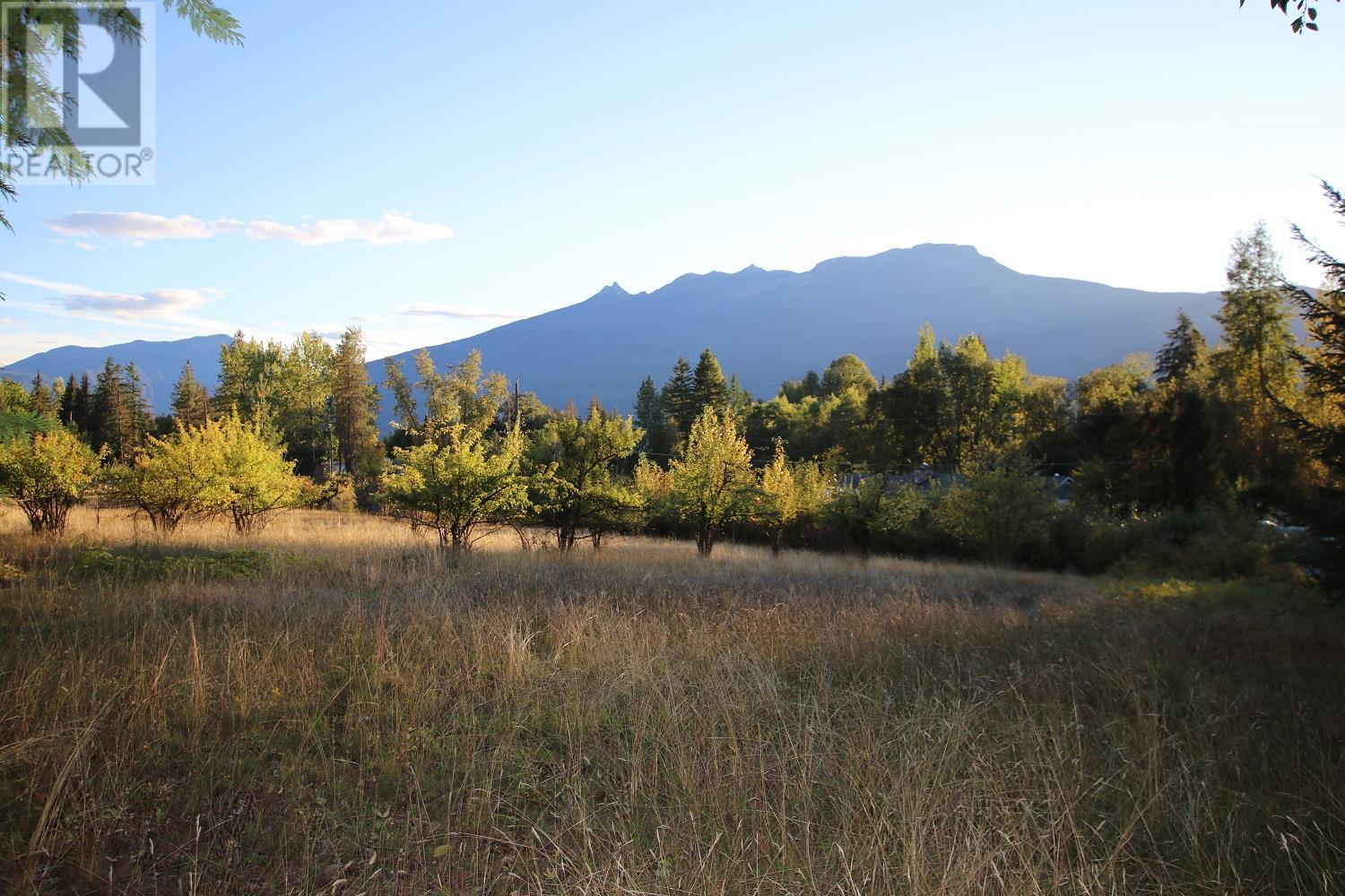 Alexander Road, Nakusp, BC V0G 1R1