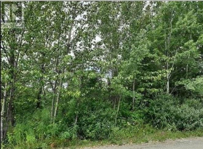 821 Murray Rd, Fort St. James, BC V0J 1P0