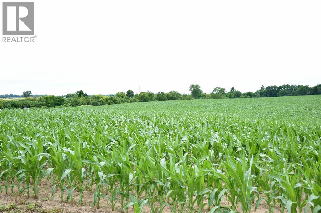 15686 Muirkirk Line, Chatham-Kent, ON N0L 1X0