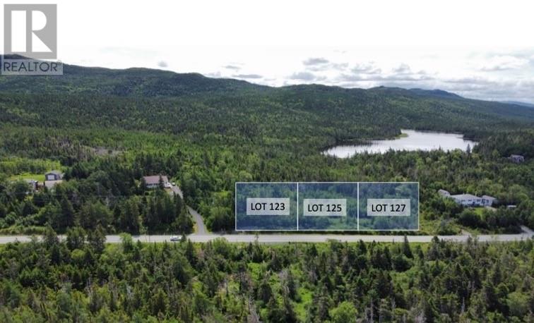 123 Salmonier Line, Holyrood, NL A0A 2K0