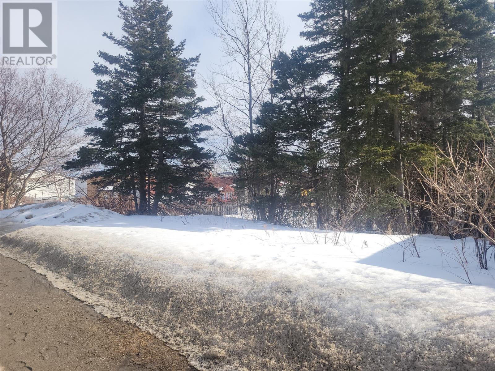 74 Hillview Ave, Stephenville, NL A2N 1T1