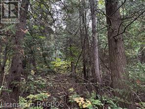 4 Shore Rd, Saugeen Shores, ON N0H 2L0