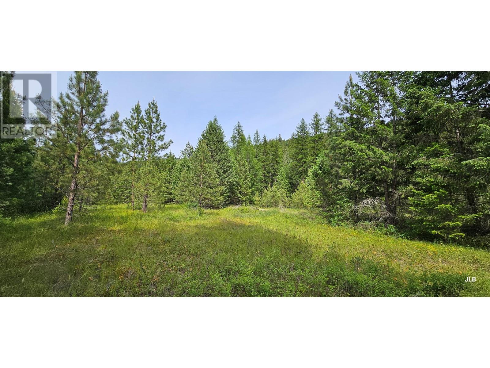 Dl164s Kettle River Road E Lot APT Lot 1, Rock Creek, BC V0H 1Y0