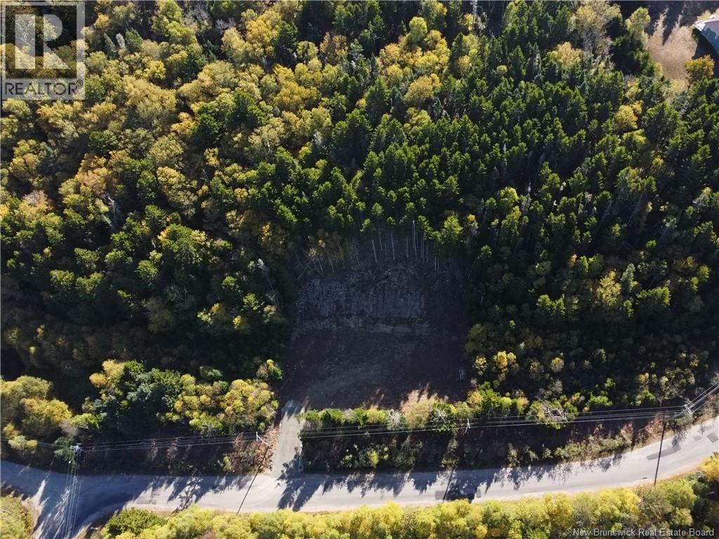 37 Forest Dr, Alma, NB E4H 1G4