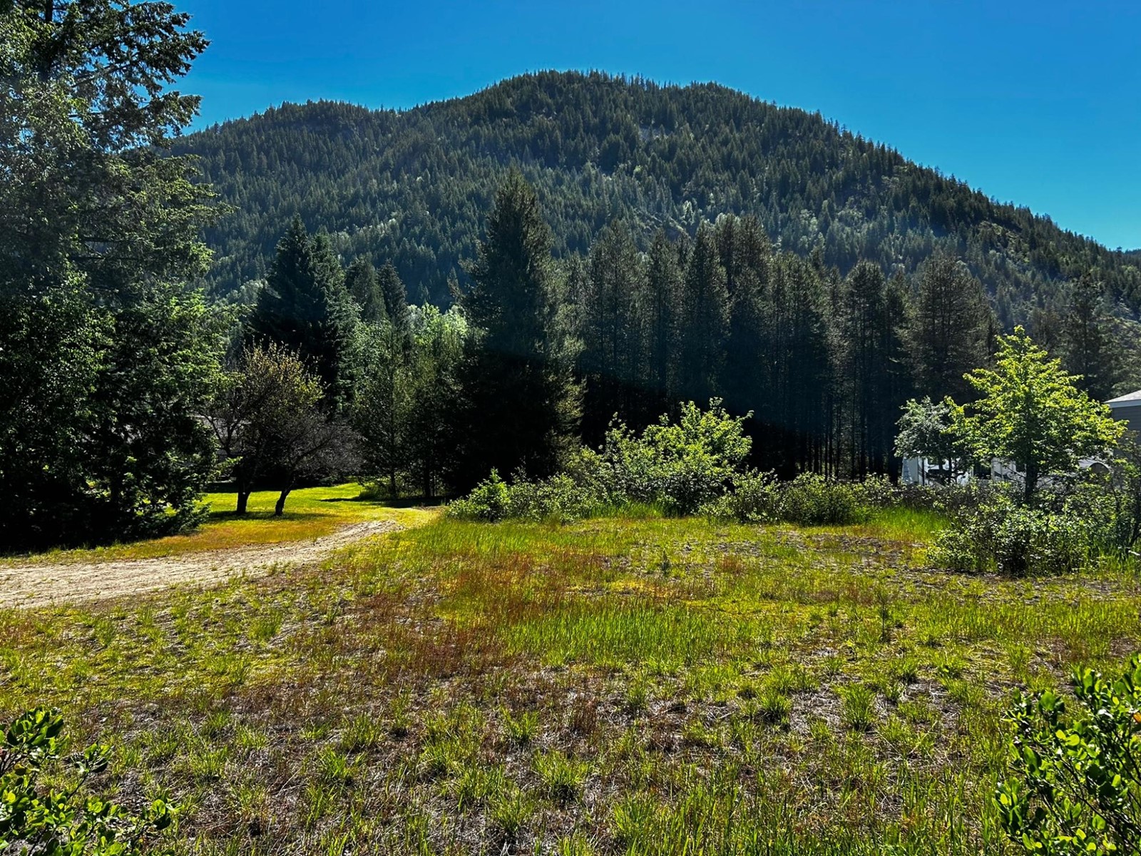 Castlegar, BC homes for sale & real estate listings Houseful