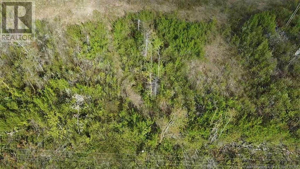 9 Tobin Rd, Elmwood, NB E7N 2E1