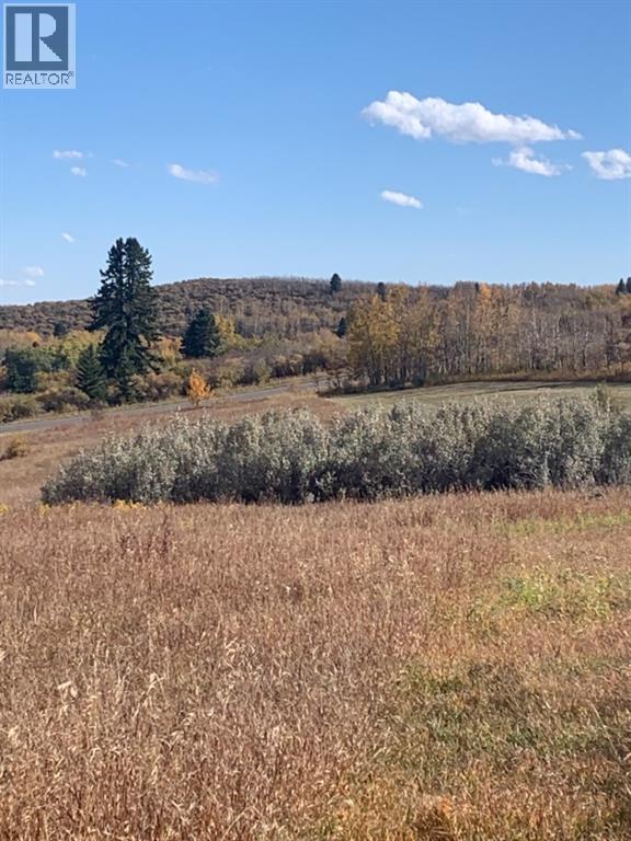 16 Red Willow Ct W, Rural Foothills County, AB T2X 0X0