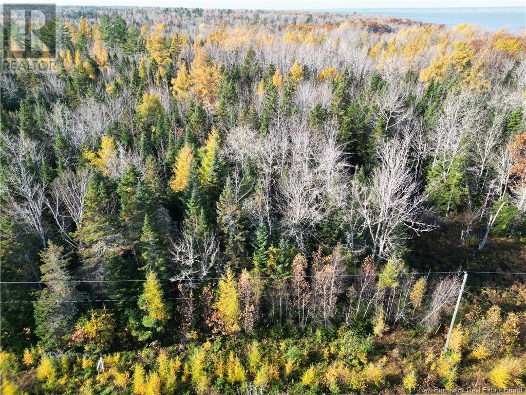 19 Morton Ln #79, Cumberland Bay, NB E4A 3J3