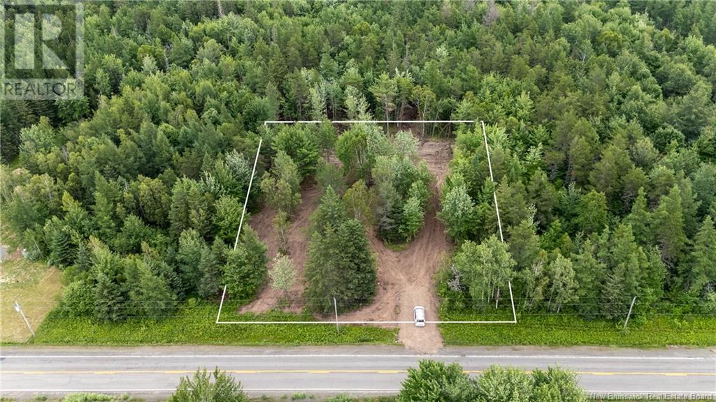 Lot Route 126, Birch Ridge, NB E4T 2B9