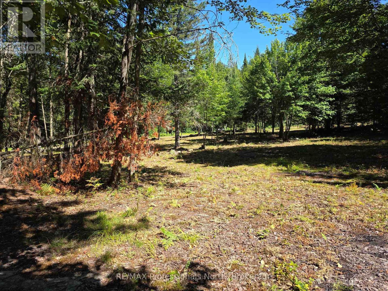 00 Whitney Rd, Perry, ON P0A 1R0